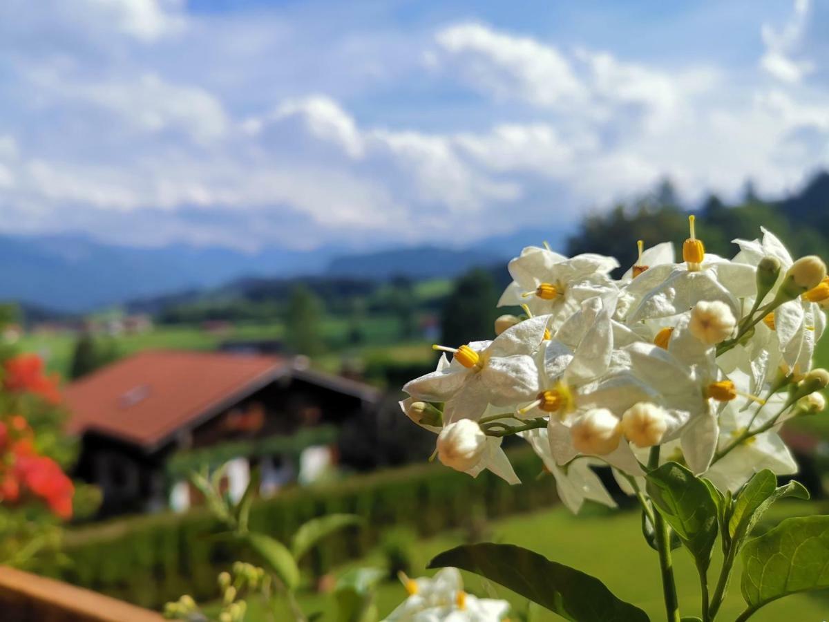 Edelweiss Apartamento